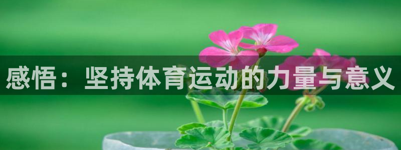 vsport体育官方正版app五金厂:感悟:坚持体育运动的力