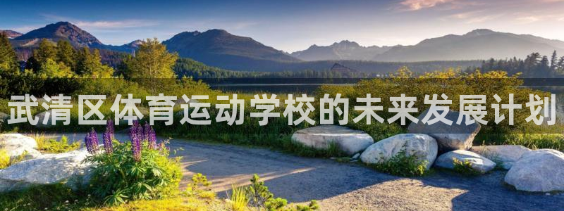 vsport体育官网下载平台假的吗是真的吗:武清区体育运动学