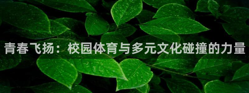 vsport体育官方平台体育:青春飞扬:校园体育与多元文化碰